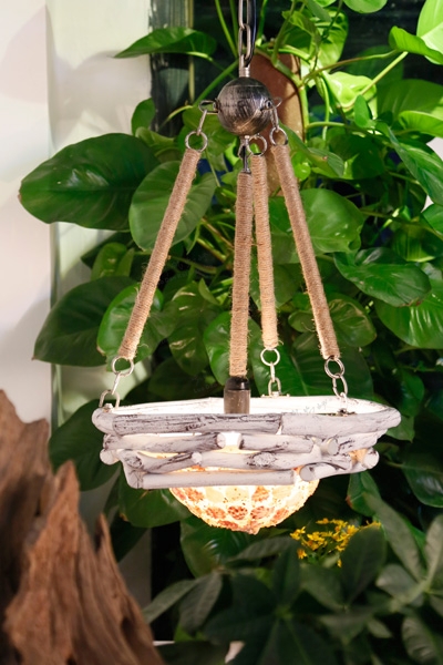 羅丹凱樹枝貝殼燈 美式田園貝殼茶樓酒吧會所餐廳創意個性燈飾