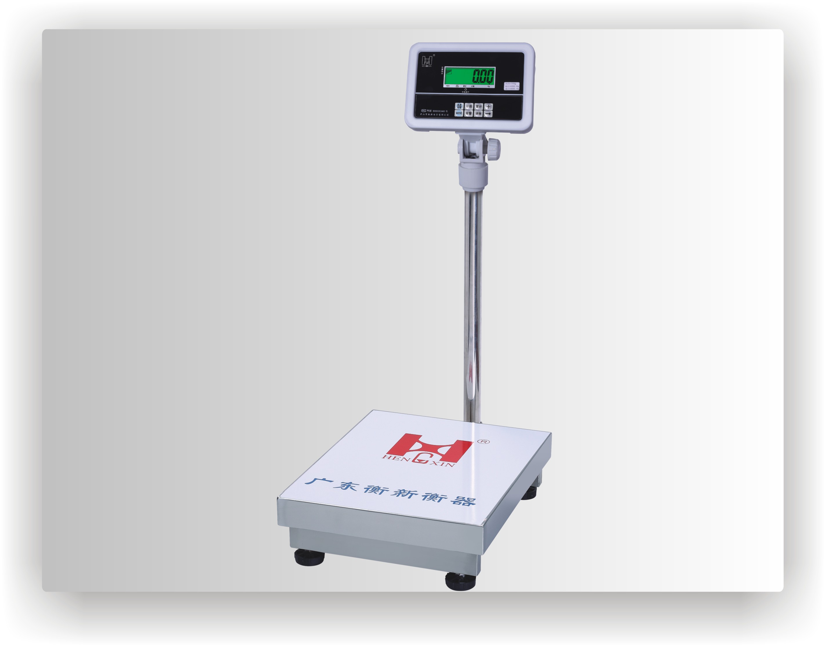TZP -PLATFORM-WEIGHING SCALE(COMPLETE S.S)SERIES