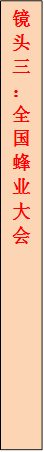 镜头三:全国蜂业大会