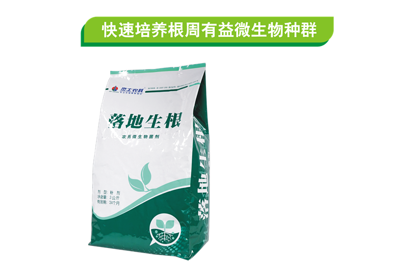 土壤生态修复系列-落地生根（LuoDiShengGen）——农用微生物菌剂
