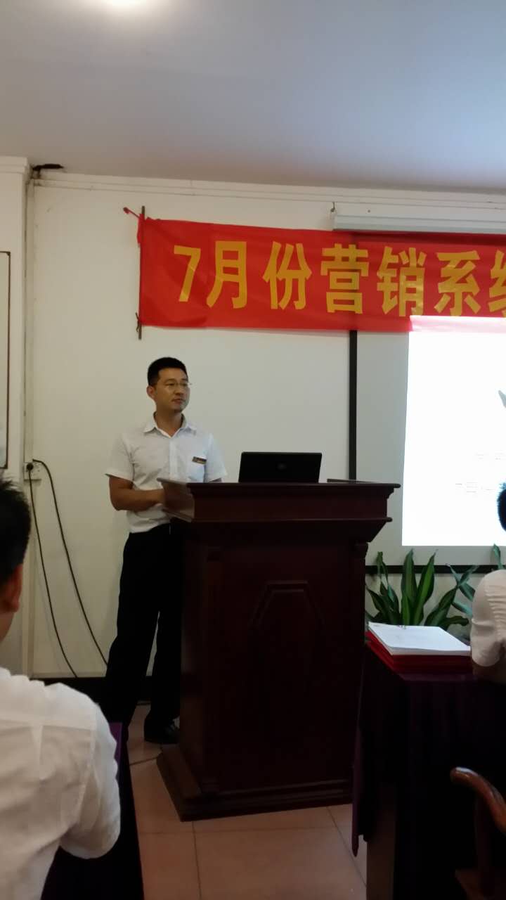 水雨轩红木 市场总监禹振纲做工作总结      