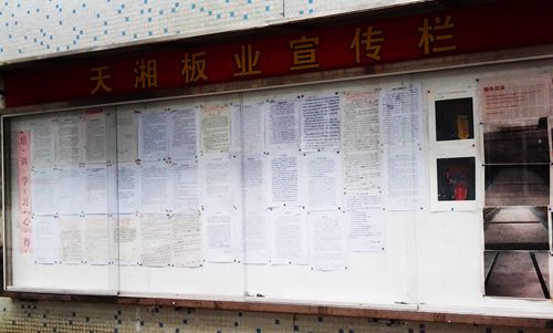 天湘板业开启培训课程之旅