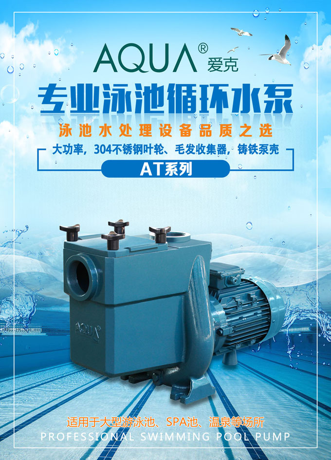 专业泳池循环离心泵