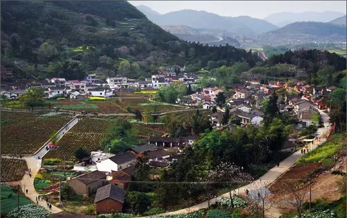 铜陵山人口_铜陵板栗山儿童公园