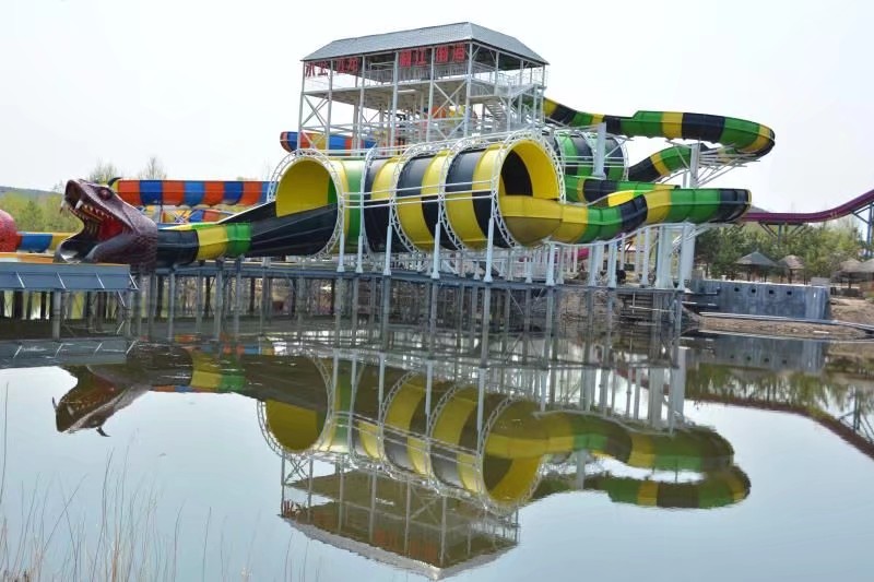 水上飞龙