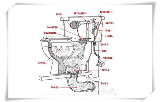 科勒马桶内部结构图图片