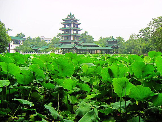 新都饮马河图片