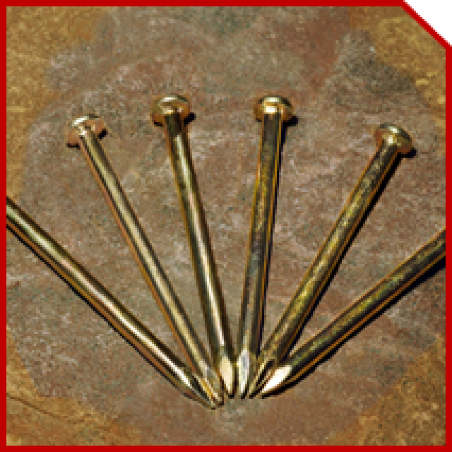 龙泉剑 特种钢钉 | 中山市港口镇兴正五金电器商行