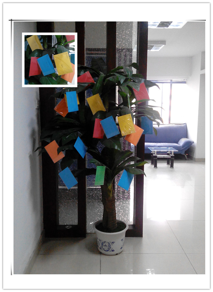 满满的许愿树(新的一年,新的愿望)