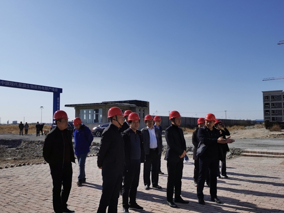 杜明辉一行到科左现代生物质热电联产项目及大安现代生物质发电有限